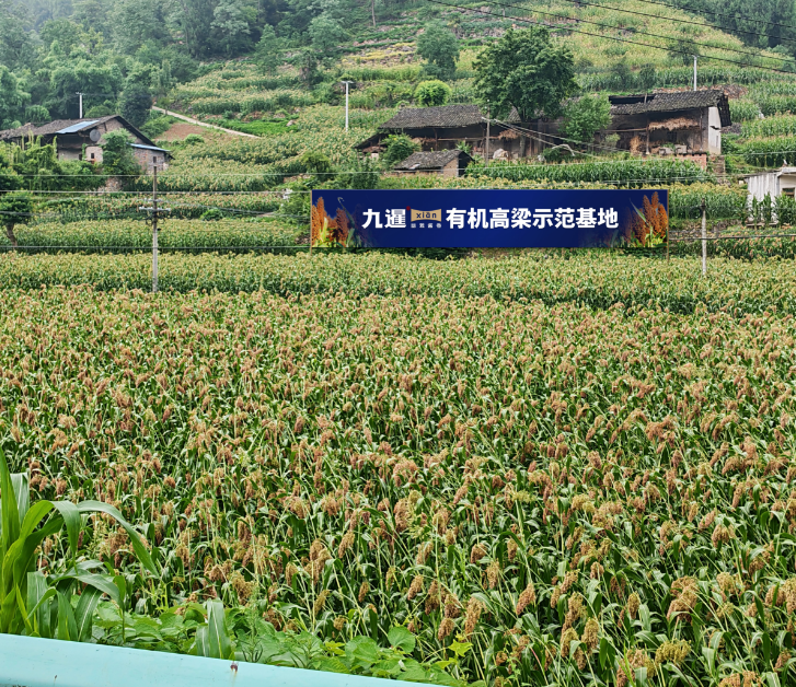 微信图片_20250821144716.png
